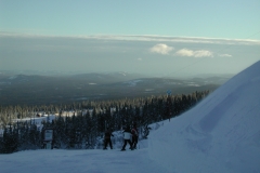 Mere Norgen