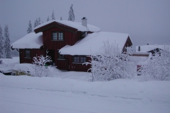 Vores fine skihus