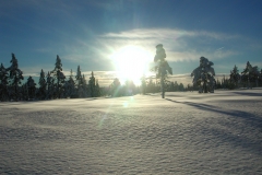Fantastisk natur