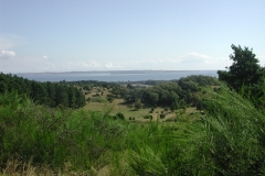 Noget natur et sted i Danmark ;)