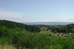 Mere natur