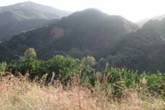 Natur
