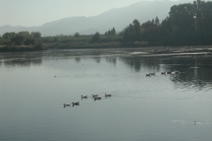 Natur