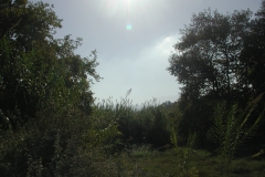 Natur