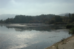 Natur