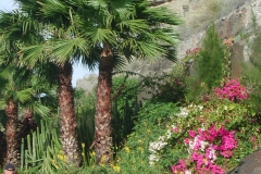 Smuk natur