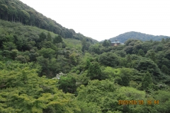 natur