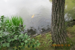 mere natur