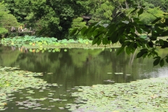 natur