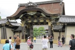 ninja world