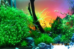 Flot akvarium