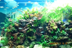Flot akvarium