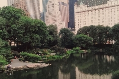 Centrale Park