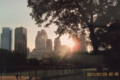 Centrale Park