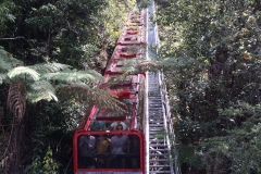 Scenic Railway