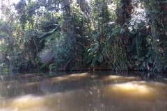 Vild Australien