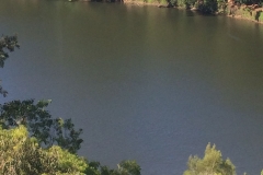 Vild Australien