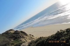 Californien som jeg havde forestillet mig