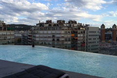 Vores tagpool