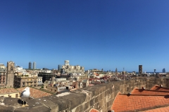 Barcelona view