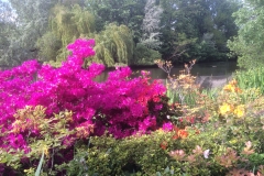 Et sted i Hyde park