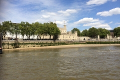 The Tower