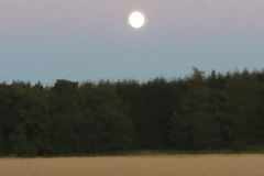 Sol over Jylland