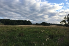 Dansk natur