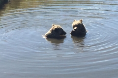 Badetid