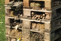 Insekthotel