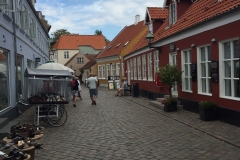 Hyggelig dansk by