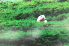 langdistancebillede