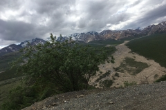 natur