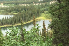 Flot natur