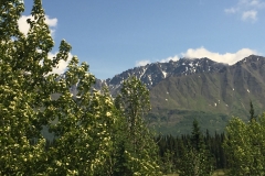 Natur