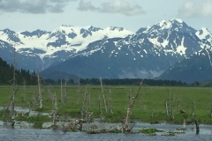 Natur