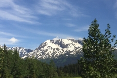 Natur