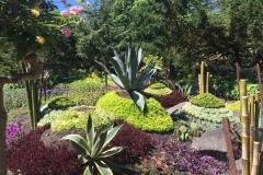 Botanisk have
