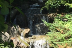 Botanisk have