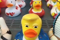 Anden over alle ænder