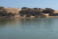 natur 2