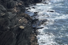 mere natur