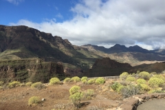 Tour de Gran Canaria