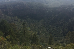Caldera de Bandama