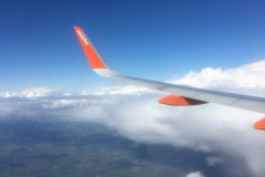 fly