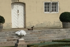 Udødelig hund