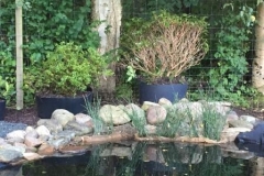 Havedam