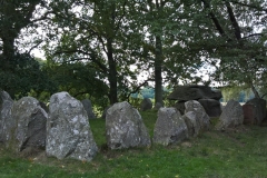 Kongedyssen - Tokkekøb Hegn