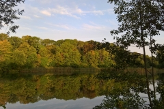 Vintappersøen i Lyngby