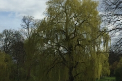 Smuk natur